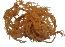 Load image into Gallery viewer, Caribbean Wildcrafted Sea Moss (4oz)