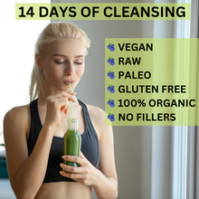 Load image into Gallery viewer, Detox Smoothie Powder