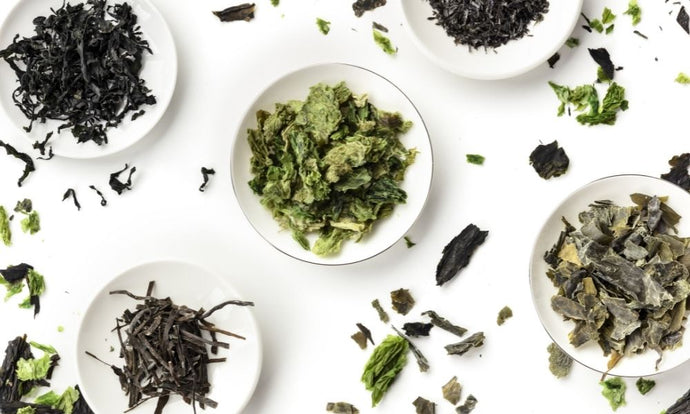 A Quick Guide To Different Types of Edible Seaweed