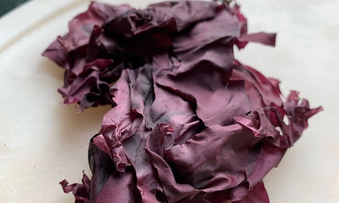 Dulse Seaweed: What Is It and How To Use It