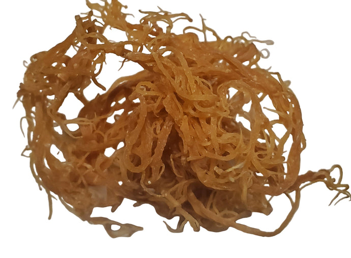 Partnering with Ocean’s Balance: The Smarter Way to Scale Your Sea Moss Business
